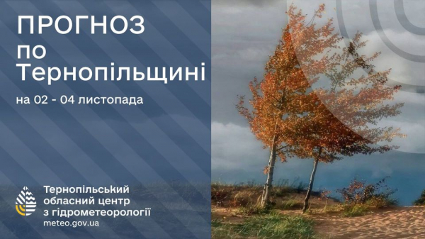 Синоптики попереджають про сильний вітер на Тернопільщині і морозні ночі