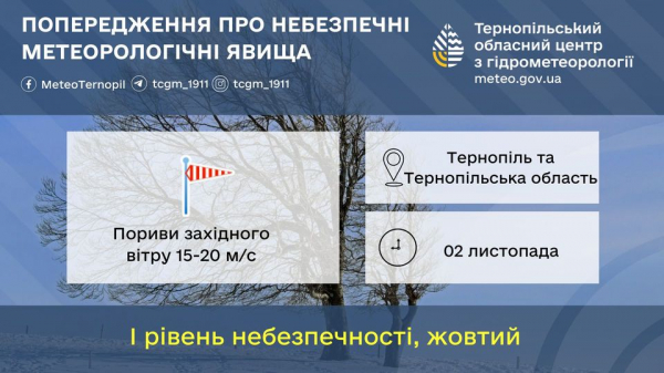 Синоптики попереджають про сильний вітер на Тернопільщині і морозні ночі