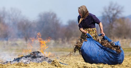 
Збитків на понад 700 тисяч грн завдали палії сухої трави на Тернопільщині