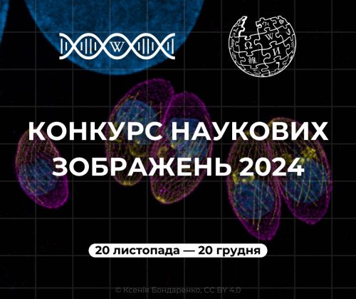 
У Вікіпедії проведуть конкурс наукових зображень