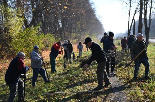 
Тринадцять громад стали новими учасниками «Марафону лип» від «Контінентал»