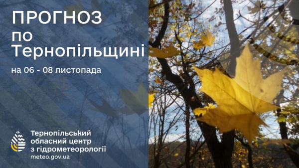 
До 5° морозу передають на Тернопільщині: прогноз погоди на найближчих 3 дні