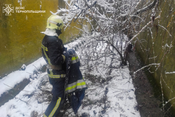 У Чорткові з ями глибиною 4 м врятували собаку