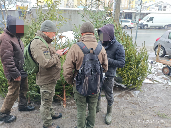 
Рейди на Тернопільщині: спіймали чоловіків, які незаконно зрубали ялинки (ФОТО)