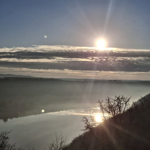 
На Дністрі вкотре виявили одного з найбільших хижих птахів Європи (фото)