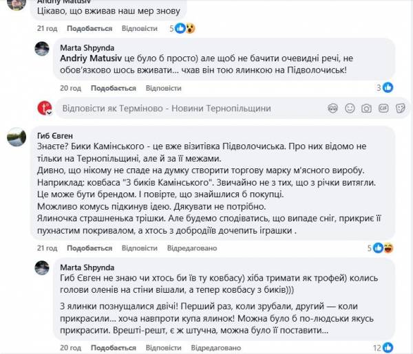 “З нас познущались”: у Підволочиську обурені цьогорічною ялинкою у центрі селища (фото)