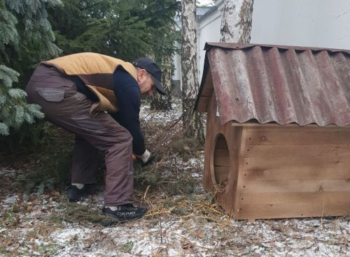 
У Кременці встановили будки для безпритульних тварин (фото)