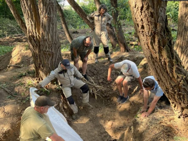 Чому саме з Пужників починають ексгумацію жертв Волинської трагедії: історія села, якого немає на карті