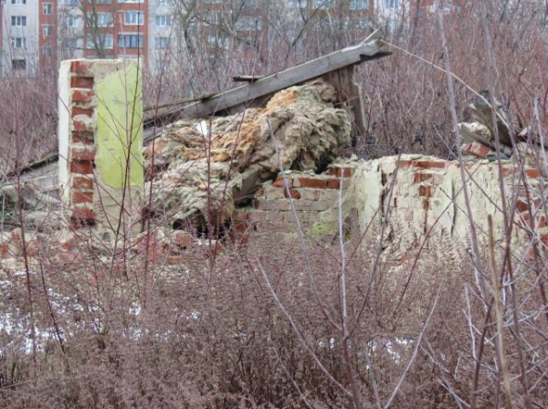 Заростають чагарниками, а частина будиночків згоріла: який вигляд мають дачі на Алясці