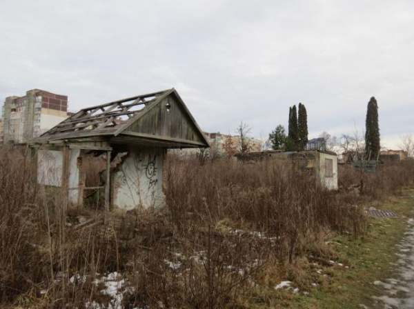 Заростають чагарниками, а частина будиночків згоріла: який вигляд мають дачі на Алясці