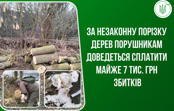 
У селі на Тернопільщині незаконно вирубали 10 дерев (фото)