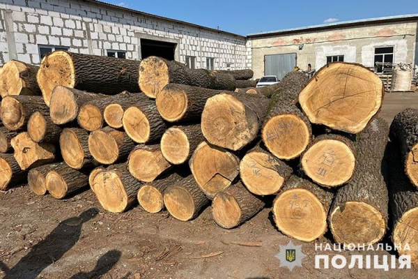 1 000 000 гривень збитків – 54-річний тернополянин зі спільниками незаконно рубав та торгував лісом