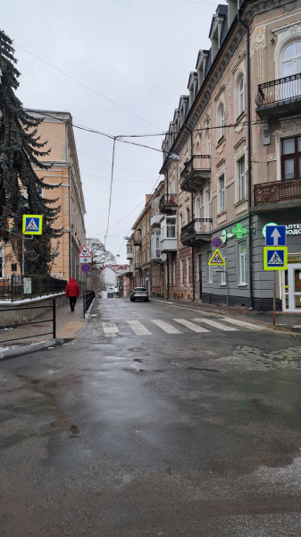 
Зранку паркувалися, а ввечері отримали штрафи: тернополяни скаржаться на нові дорожні знаки у центрі міста (фото)