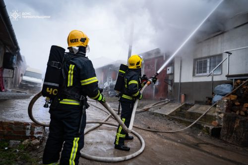 
Пожежа охопила гараж на Об'їзній у Тернополі (ФОТО)