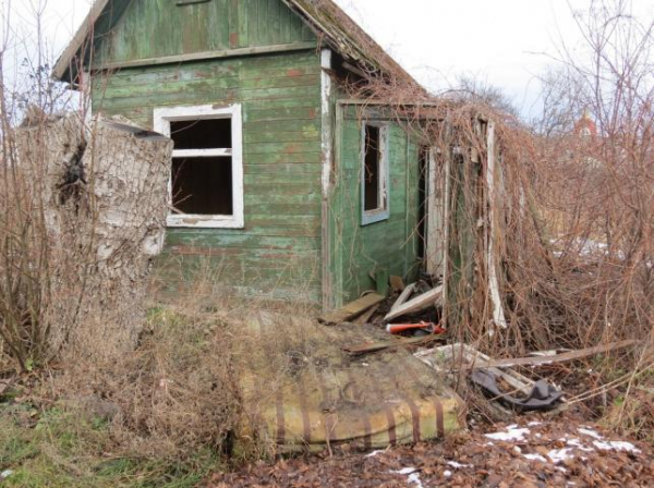 Заростають чагарниками, а частина будиночків згоріла: який вигляд мають дачі на Алясці