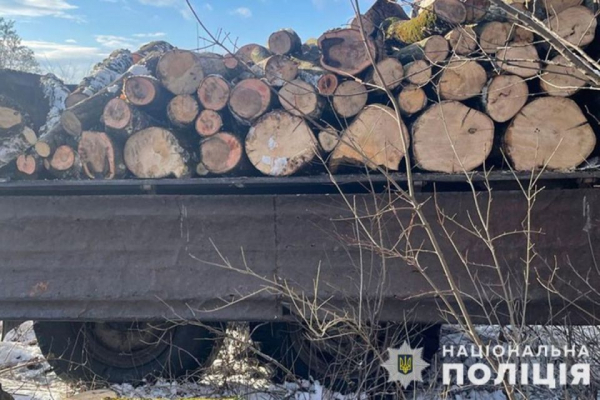 Штраф або три роки в'язниці за дрова: три випадки незаконної порубки зафіксували на Тернопільщині