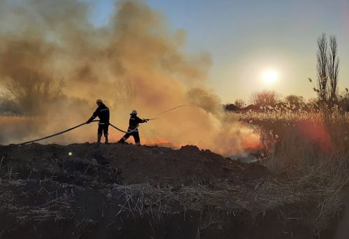 
Масштабна пожежа на Чортківщині: вогонь охопив 1,5 гектара сухої трави