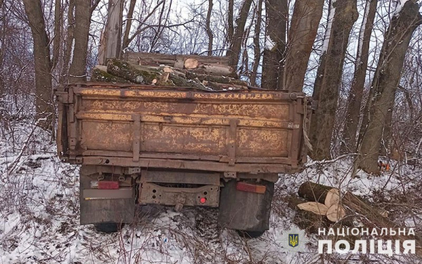 Штраф або три роки в'язниці за дрова: три випадки незаконної порубки зафіксували на Тернопільщині