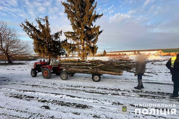 На Тернопільщині відкрили дві кримінальні справи на чоловіка, який різав повалені дерева у заповіднику