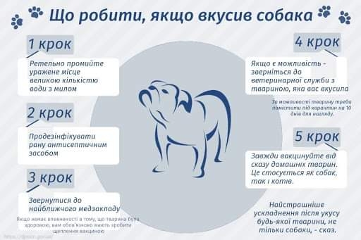 Собака накинувся на пенсіонерку в Заліщиках. Жінка отримала рвані рани та втратила палець