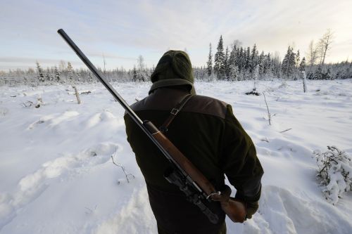 
У Вишнівецькій громаді відстрілюватимуть хижих звірів: мешканців простять не відвідувати ліси