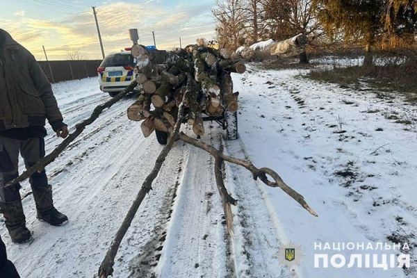 На Тернопільщині відкрили дві кримінальні справи на чоловіка, який різав повалені дерева у заповіднику