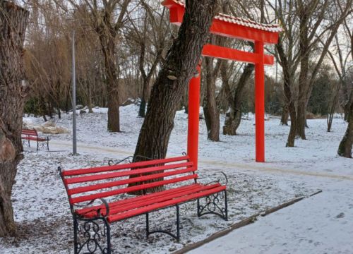 
У Тернополі облаштовують терапевтичний сад у японському стилі (фото)