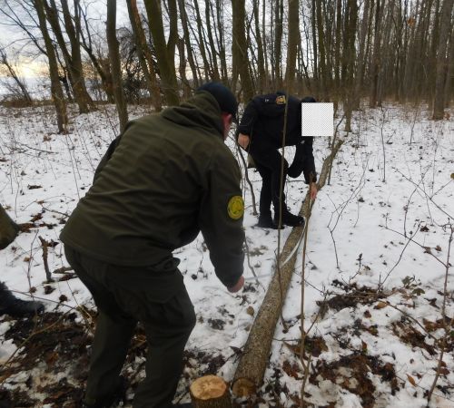 
На території заповідника у Тернопільській області затримали порушника, який вирубував дерева (фото)