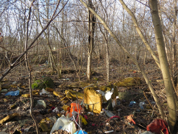 Дітей, які жили в халабуді, забрали на Рівненщину. Показуємо умови, у яких вони жили