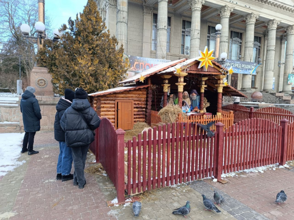 У різдвяній шопці на Театралці народилися ягнята: тернополяни з дітьми приходять подивитися на них