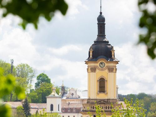 
Унікальну ратушу в Бучачі, де є роботи Пінзеля, планують реставрувати