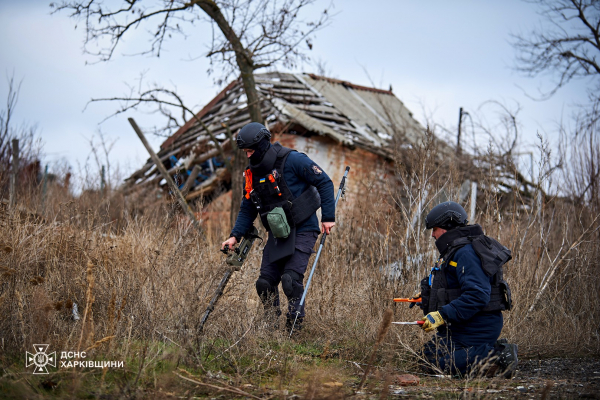 
Снаряди, гранати, міни та вибухівка: рятувальники з Тернопільщини розміновують землі на Харківщині (ФОТО)