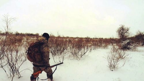 
У більшості громад на Тернопільщині 8-9 лютого відстрілюватимуть диких тварин: місцевих просять не відвідувати ліси