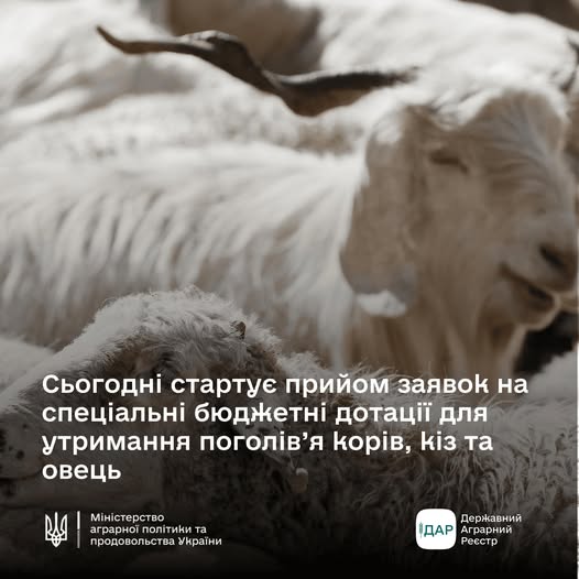  Тернопільські фермери можуть податися на державні дотації для утримання корів, кіз, овець