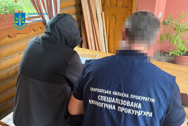 Через масштабну вирубку лісу в Карпатах довкіллю завдали збитків на понад 55 мільйонів гривень (фото)