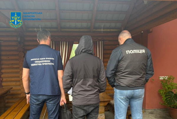Через масштабну вирубку лісу в Карпатах довкіллю завдали збитків на понад 55 мільйонів гривень (фото)