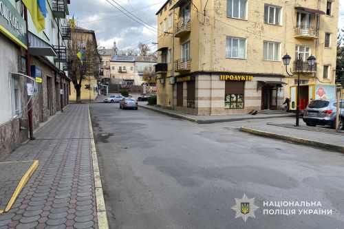 Під колеса авто потрапив 9-річний хлопчик у Бучачі