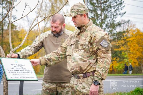 На кількох вулицях Тернополя висадили дерева, щоб підтримати ЗСУ