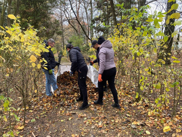 У Козові громада провела масштабну толоку (фото)