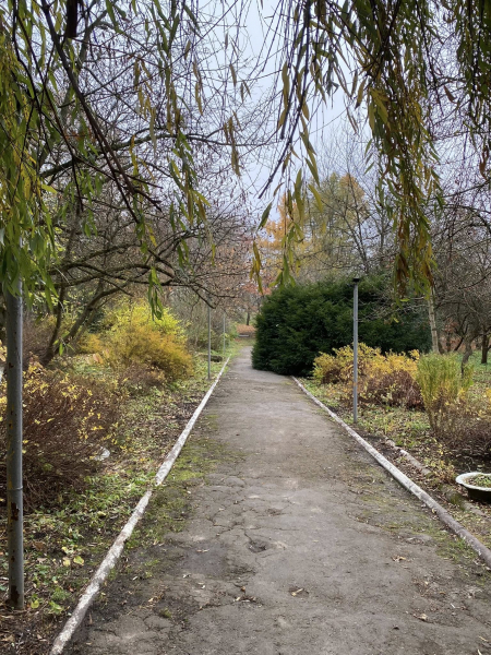 У Козові громада провела масштабну толоку (фото)