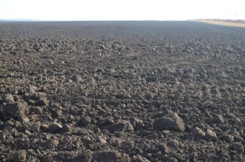 У Монастириській громаді агрофірма не платила за оренду: прокуратура подала до суду