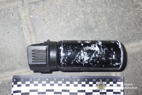 У Тернополі випадок домашнього насильства закінчився нападом на поліцейських (фото)