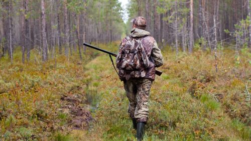 Стартував відстріл тварин у Підгаєцькій громаді: правила безпеки для жителів