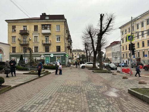 Старі липи зріжуть у центрі Тернополя неподалік школи №3