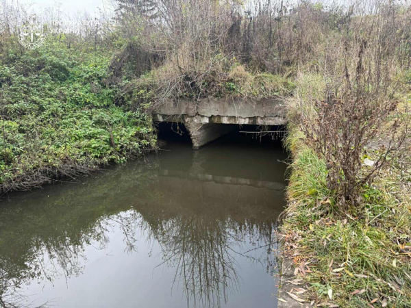 Суд повернув державі 14 гектарів земель водного фонду на Тернопільщині (фото)