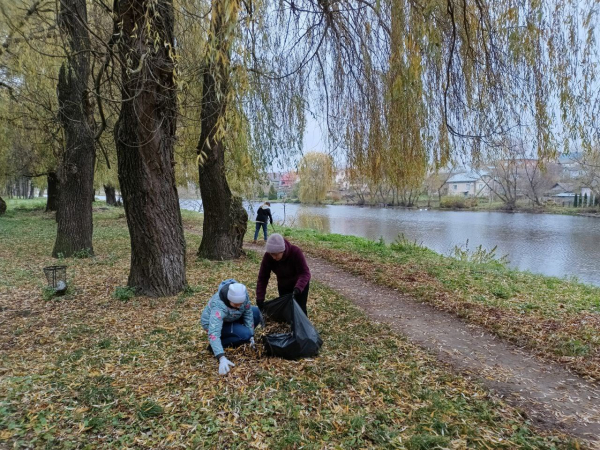У Козові громада провела масштабну толоку (фото)