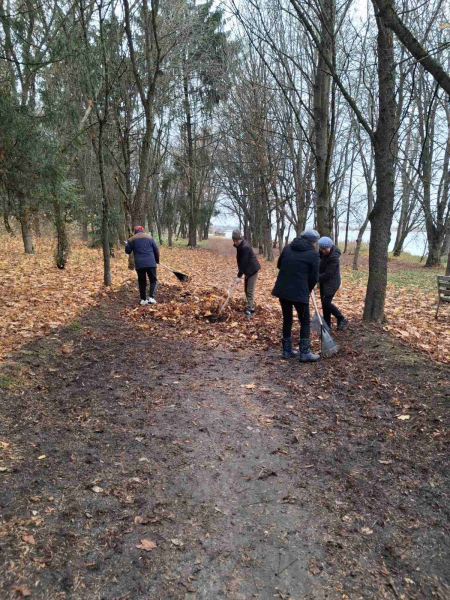 У Козові громада провела масштабну толоку (фото)