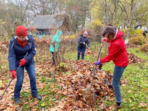 У Козові громада провела масштабну толоку (фото)