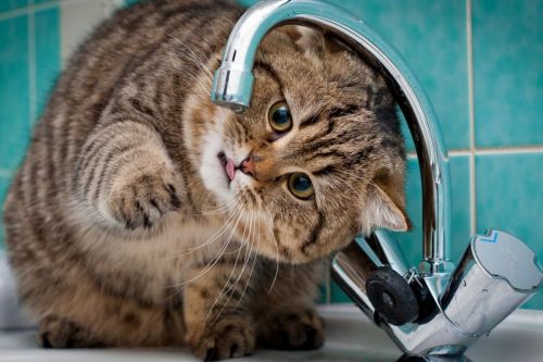 Без водопостачання тимчасово залишиться частина Кременця