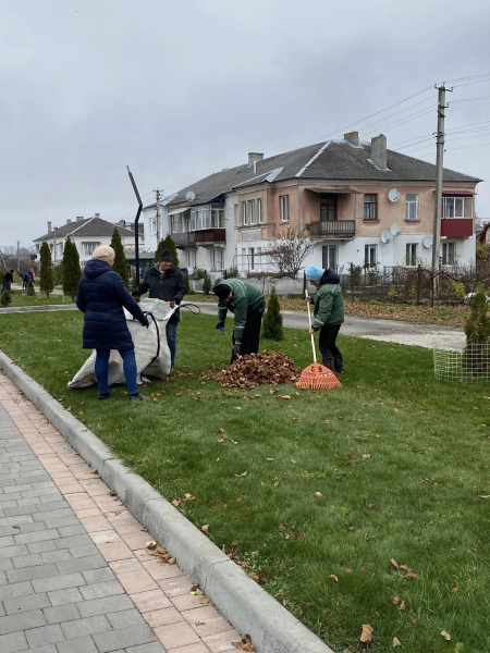 У Козові громада провела масштабну толоку (фото)